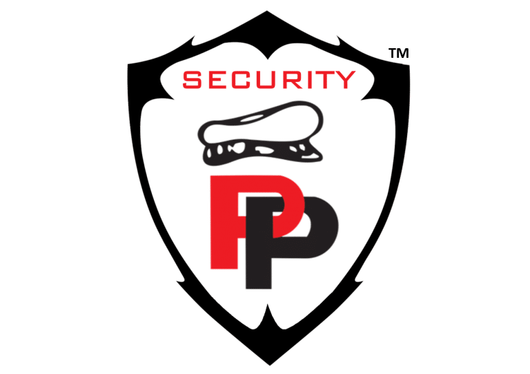 Security services in Pune | Perfect Protection India